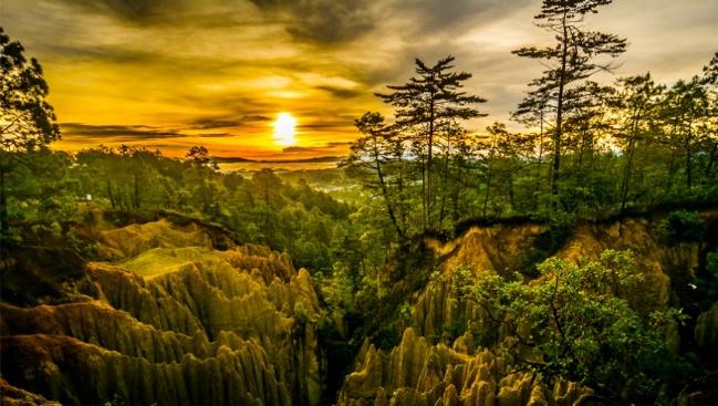Bosque montañoso de Totonicapán al atardecer